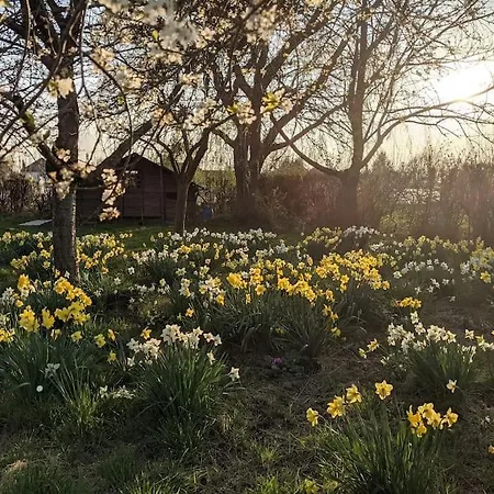 Ferme De Caractere Avec Piscine Et Cheminee * Sainghin-en-Melantois